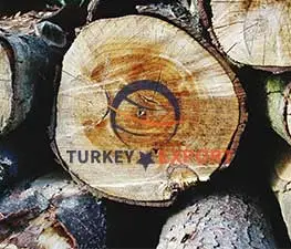 Forest-Industry-Chemicals-suppliers-turkey