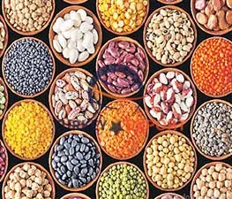 kidney bean suppliers, soybean wholesale