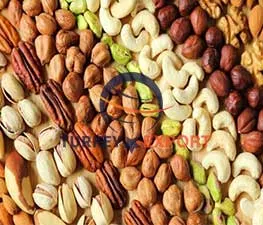 turkish nuts, turkish manufacturers